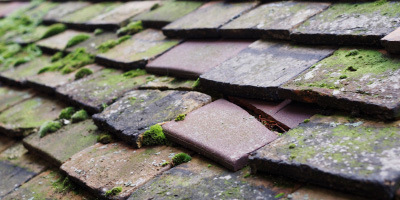 Wendover Marsh roof repair costs